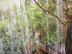 waterval Burgers zoo