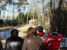 olifant Burgers zoo