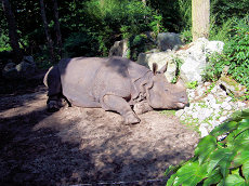 Dierenpark Amersfoort