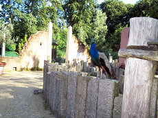 Dierenpark Amersfoort